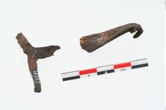 Foto von Eisengürtelhaken (NHMW-PRAE-026787)